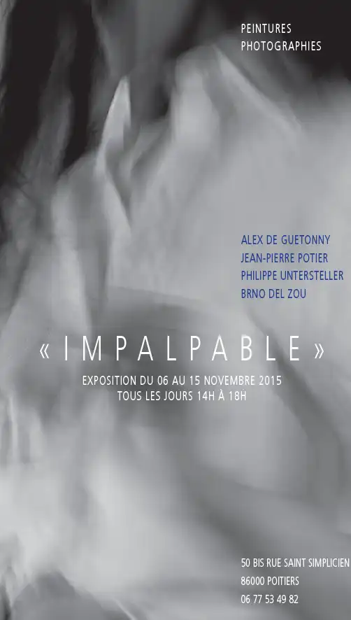 Exposition les impalpables - galerie Sainte-Croix Poitiers